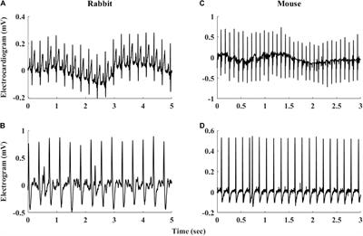 Beating Rate Variability of Isolated Mammal Sinoatrial Node Tissue: Insight Into Its Contribution to Heart Rate Variability